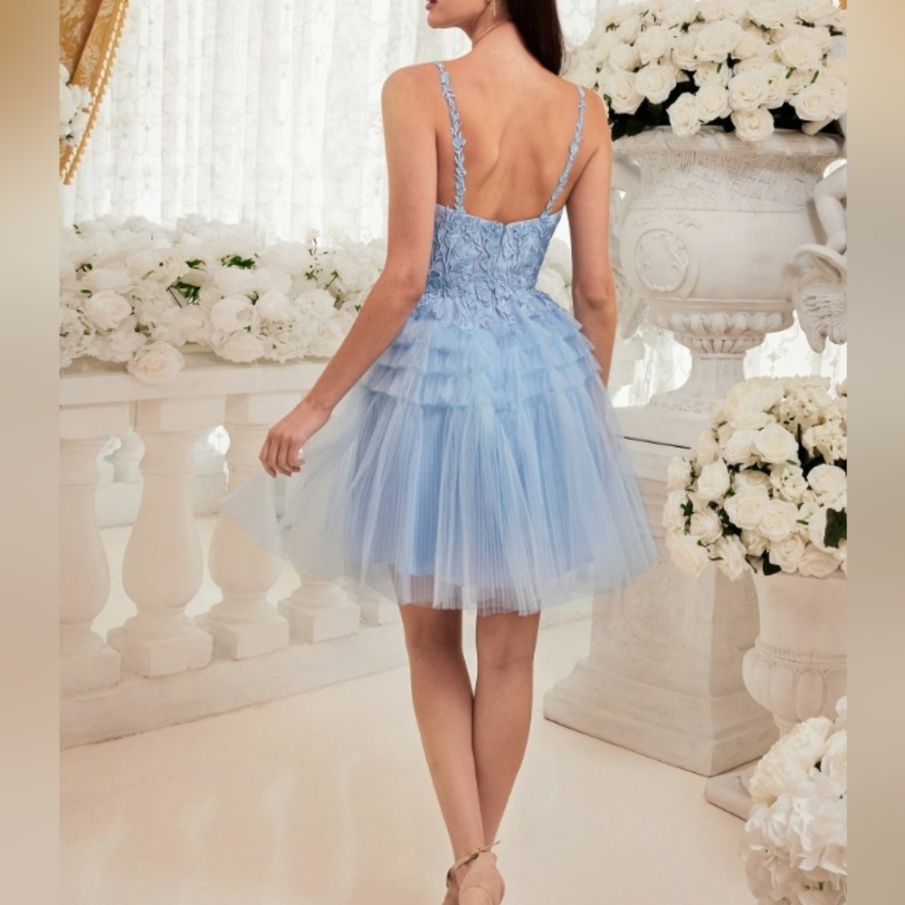 Formal dress - Picture 4 of 9
